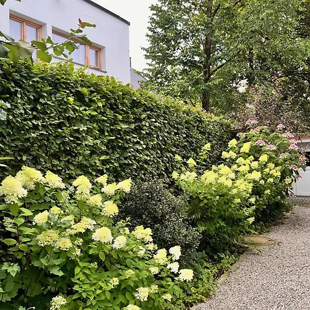 Beautiful & Garden In München