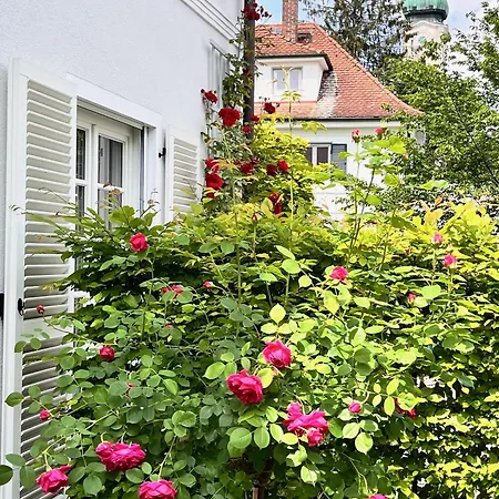 Beautiful & Garden In Villa Munich