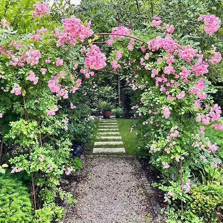 Beautiful & Garden In *