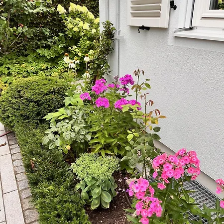 Villa Beautiful & Garden In