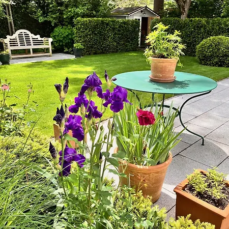Beautiful & Garden In Villa