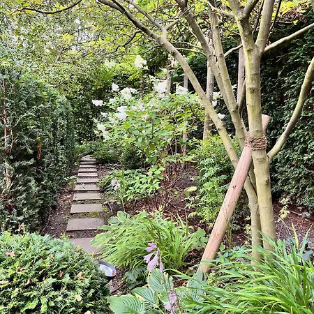 Beautiful & Garden In