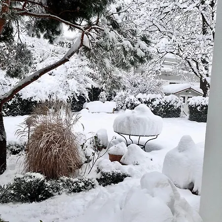 Beautiful & Garden In Villa *